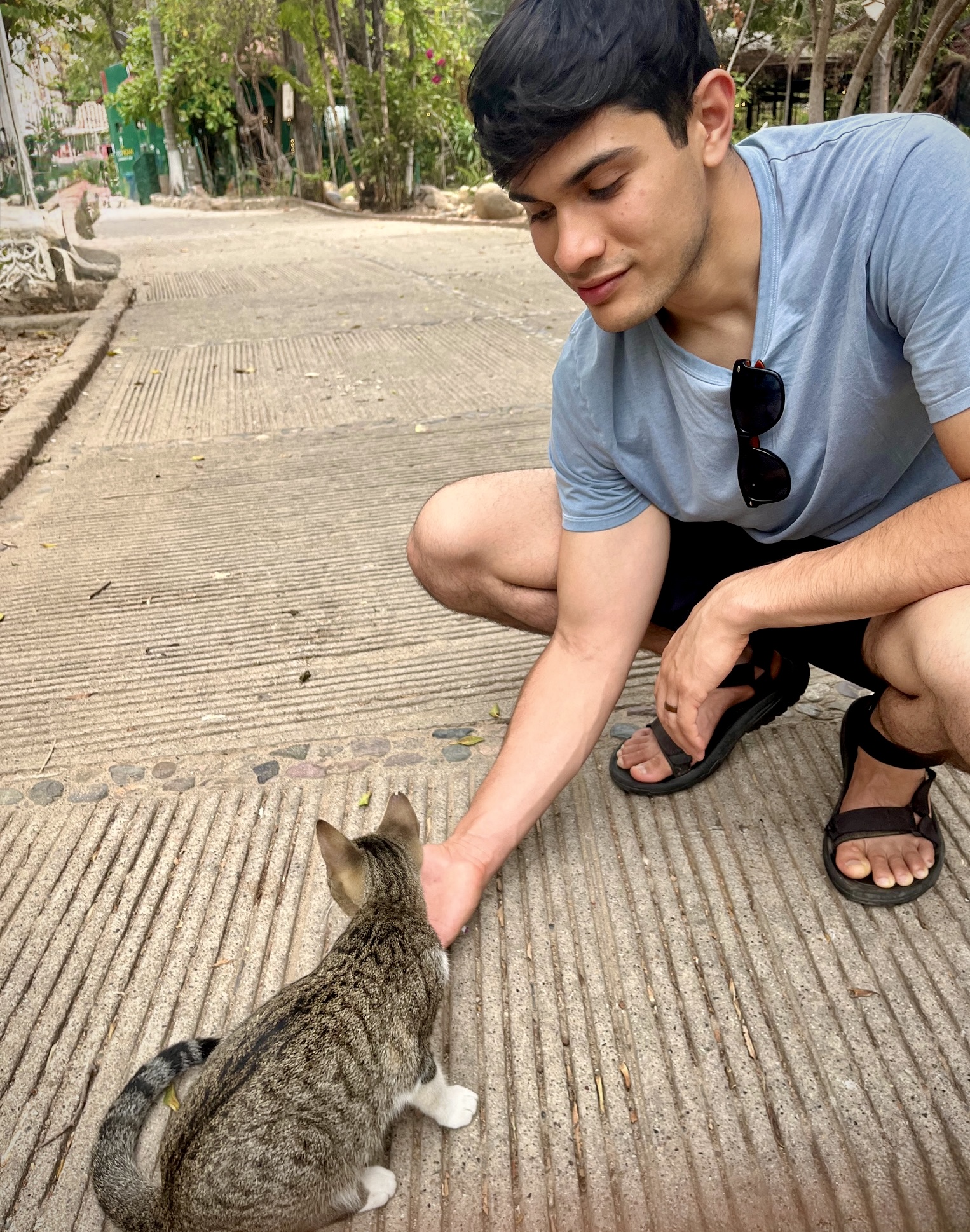 Counselor feed a cat. Davis CA